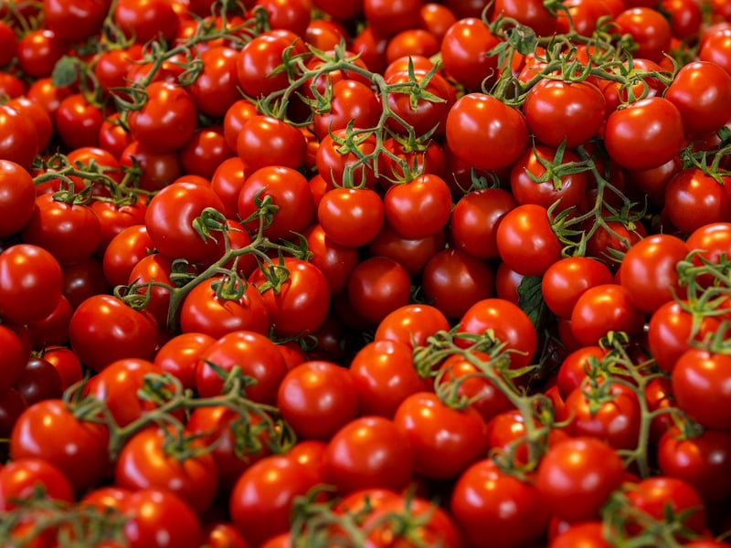 Tomato and Basil
